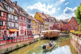 PLATINUM Francuski GRAND EST Alzacja